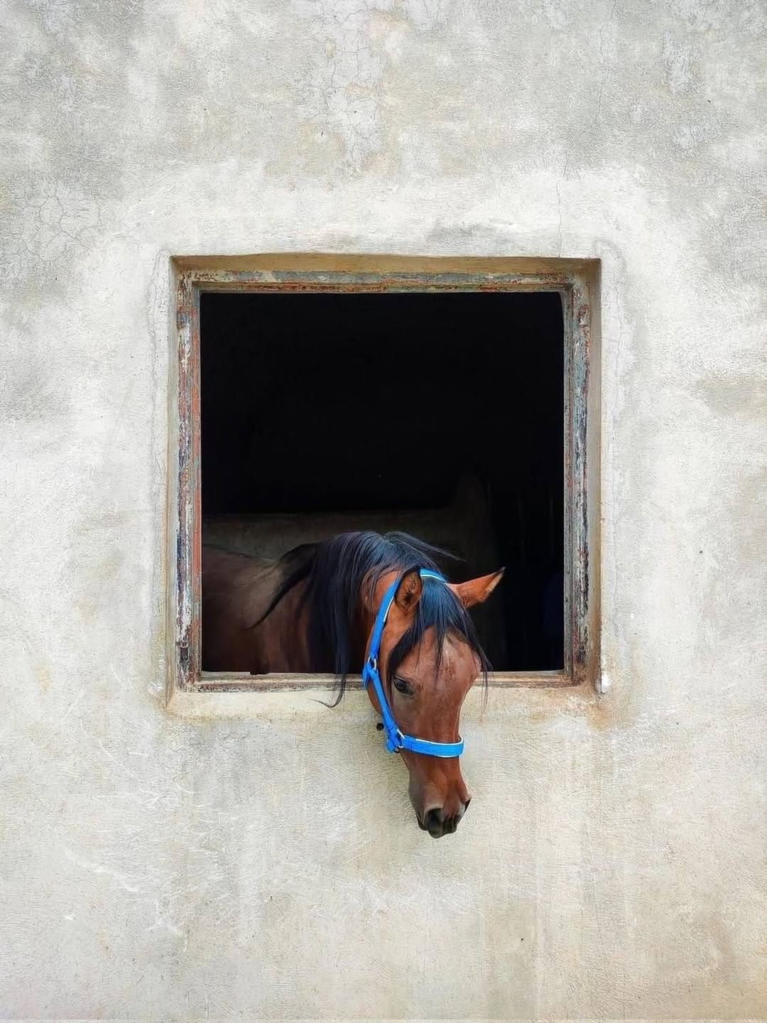 Post 7 by Sarra Cherif on Instagram (image)