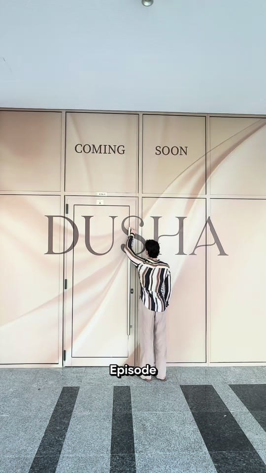 Post 8 by dushansakic on TikTok (video)