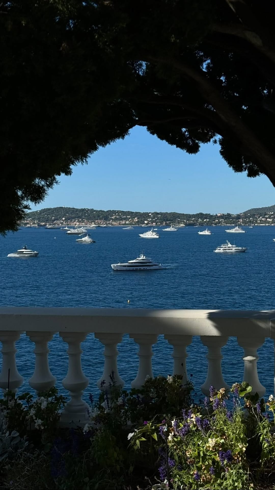 Post 7 by Milana Ch | in Monaco | Travel creator on Instagram (video)