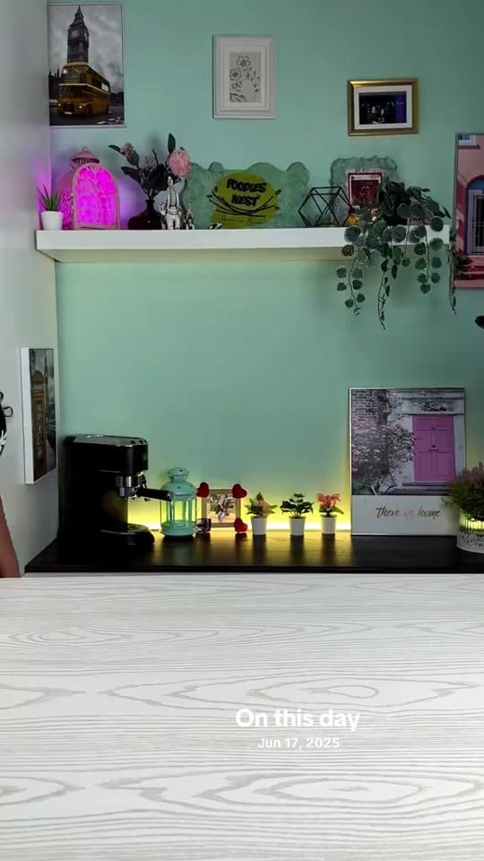 Post 6 by shimaaandmasoud on TikTok (video)