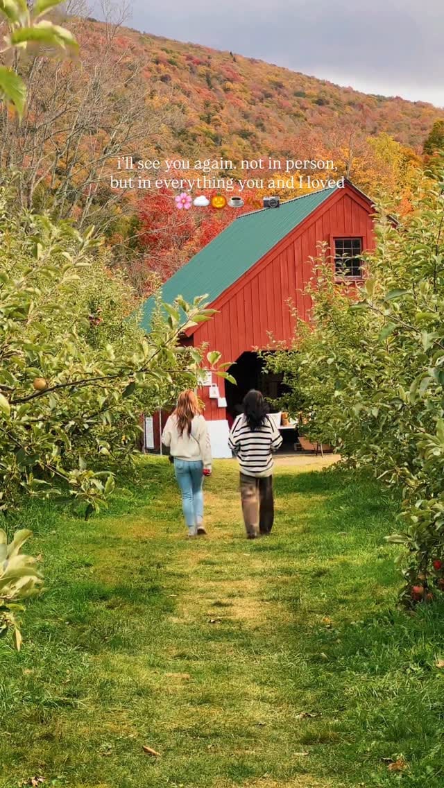 Post 10 by Julie Denby on Instagram (video)