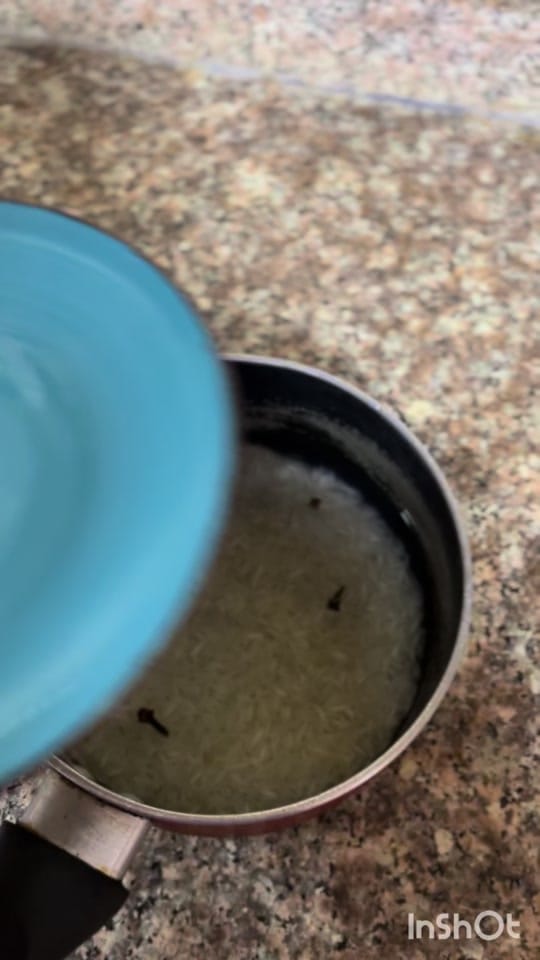 Post 10 by Taani Rixvi on TikTok (video)