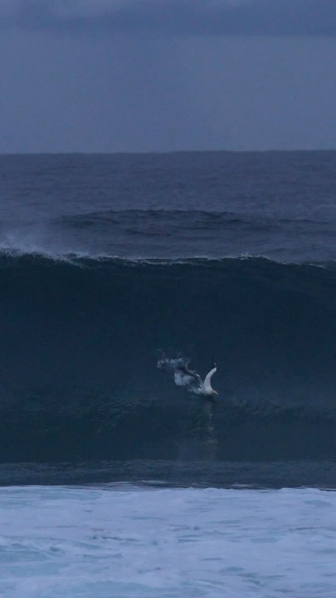 Post 10 by ORANGE ROCKS OCEAN PHOTOGRAPHY on Instagram (video)