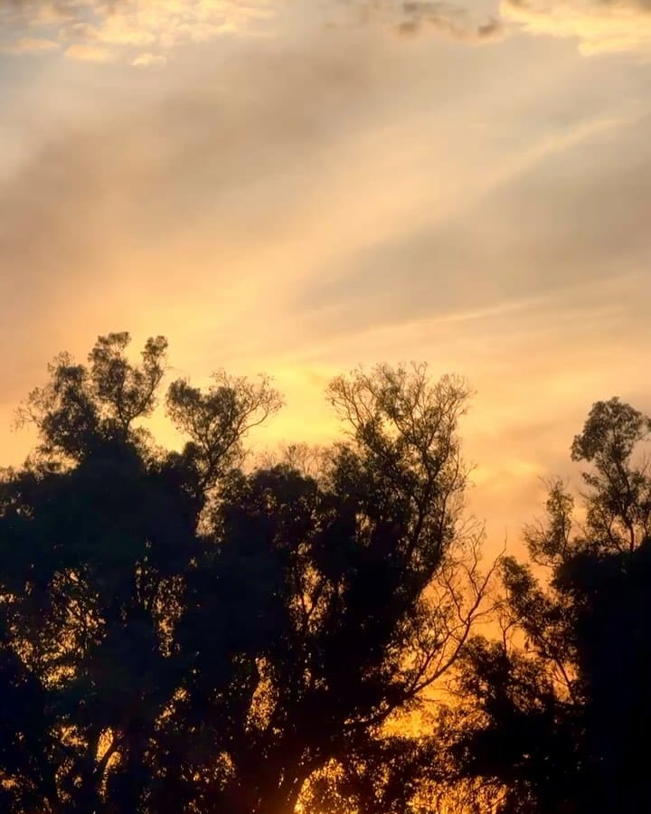 Post 5 by Badr Eddine AMAIZE on Instagram (carousel)