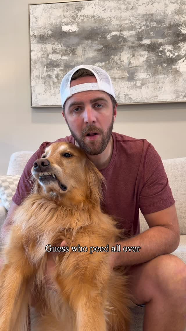 Post 5 by AGuyandAGolden on Instagram (video)