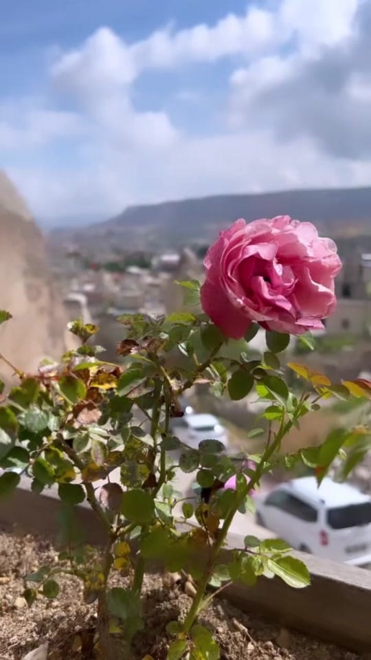 Post 9 by Dubai.lifestyle on TikTok (video)