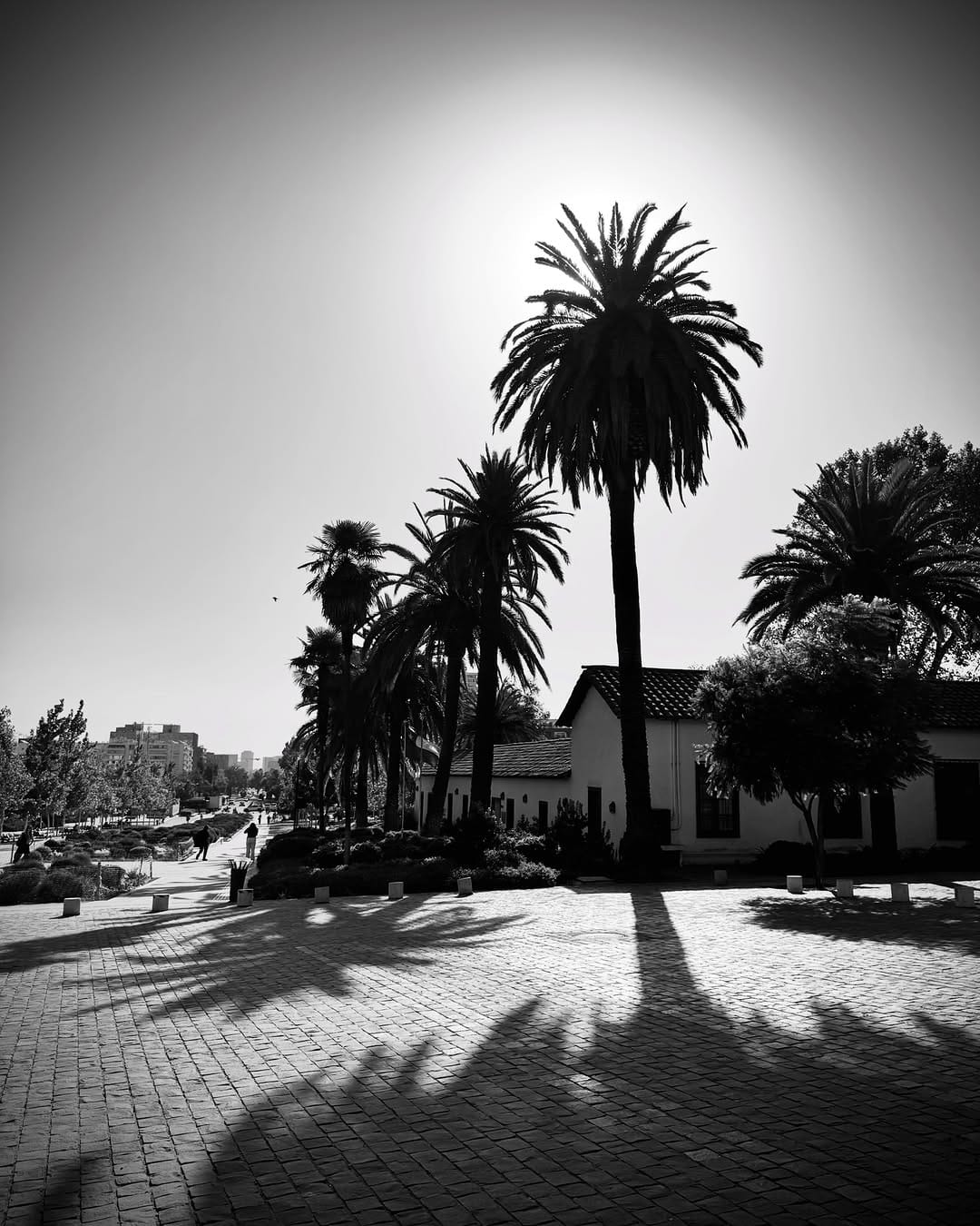 Post 1 by Ｐａｂｌｏ ＣＨ ＦＬ on Instagram (image)