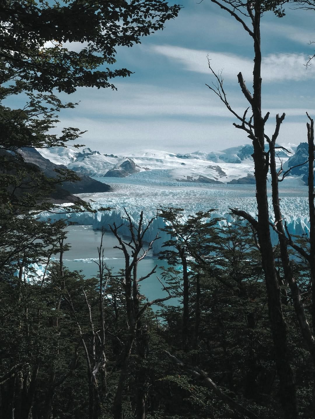 Post 8 by Ｐａｂｌｏ ＣＨ ＦＬ on Instagram (image)