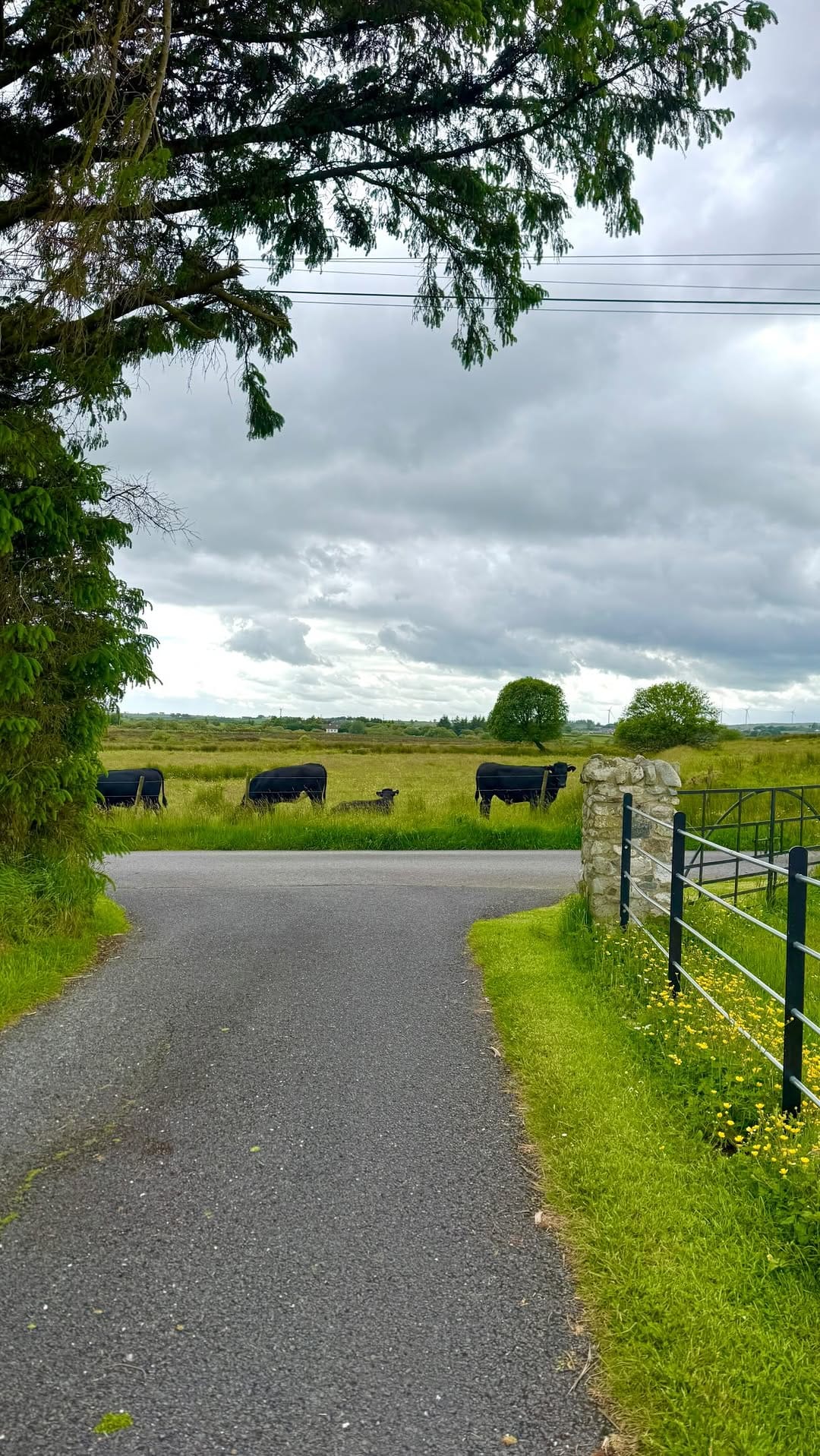 Post 1 by Elaine Donaghy on Instagram (video)