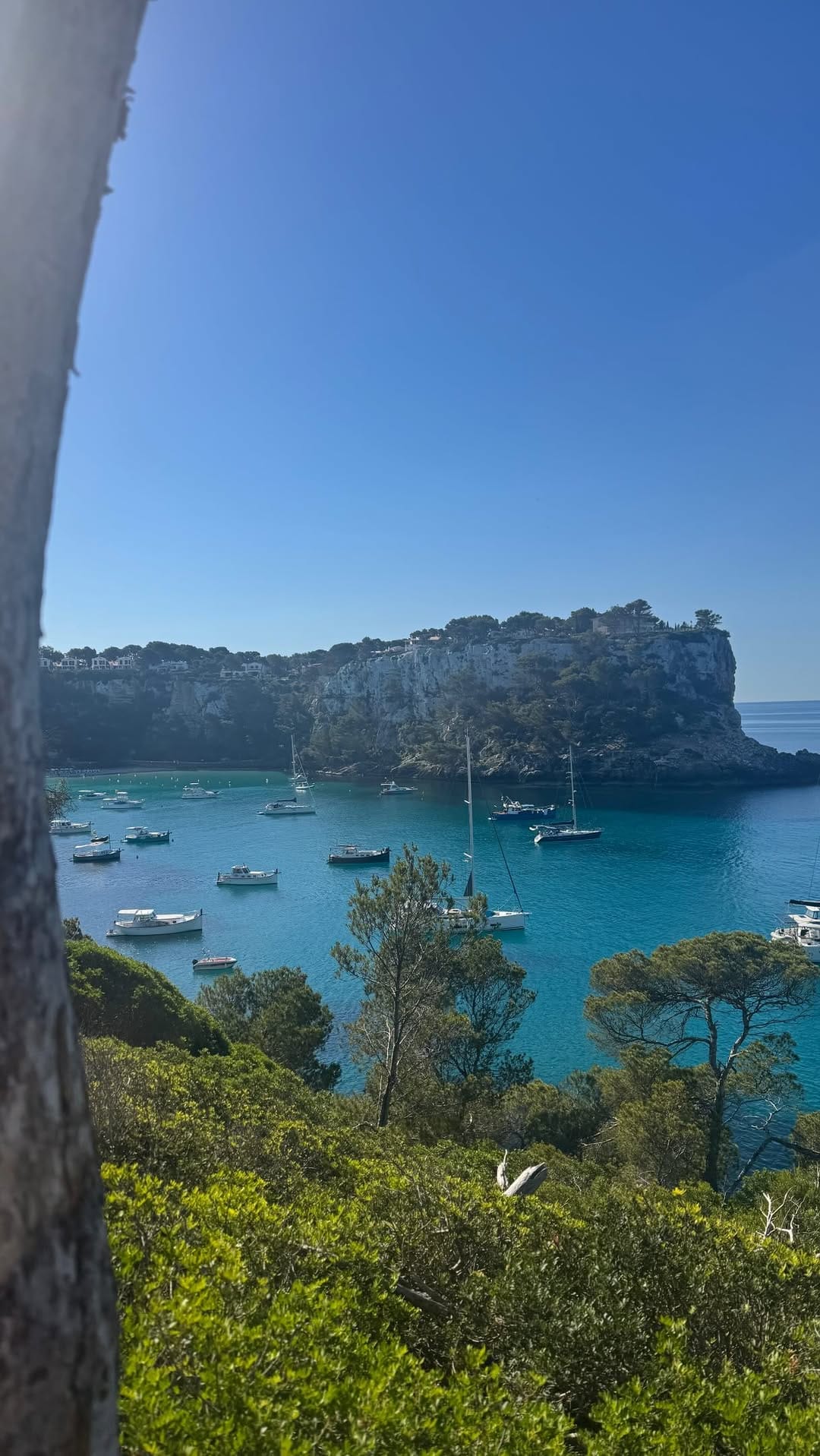 Post 5 by Elaine Donaghy on Instagram (video)