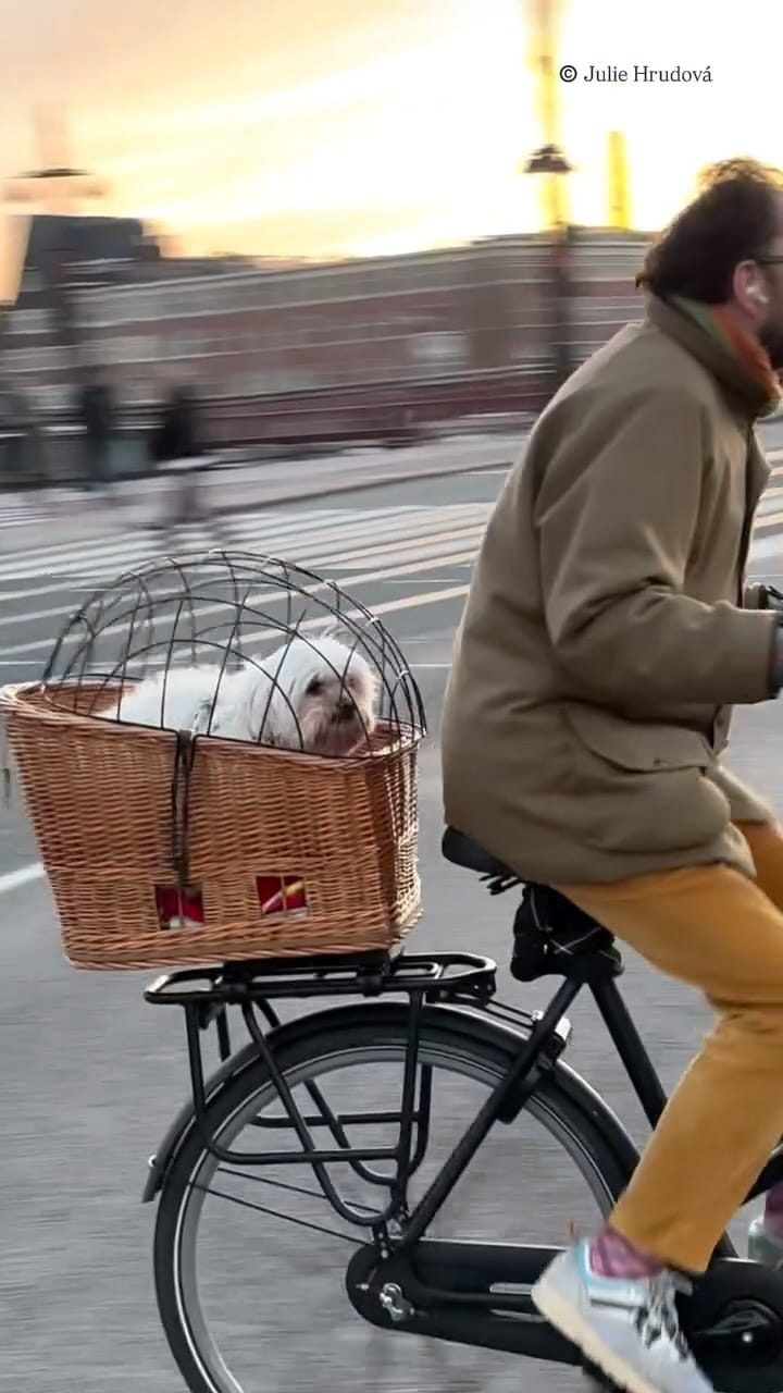 Post 8 by Julie Hrudová on Instagram (video)