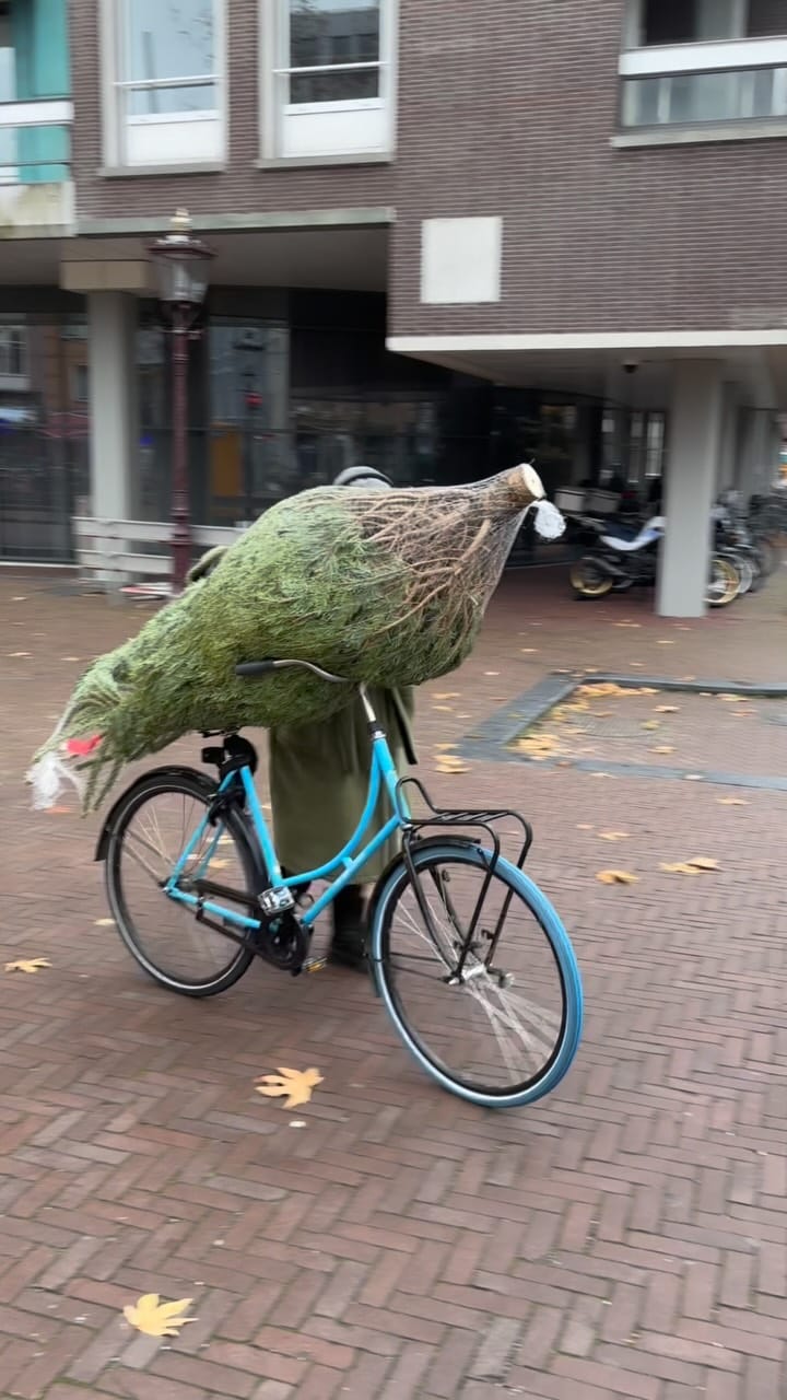 Post 9 by Julie Hrudová on Instagram (video)