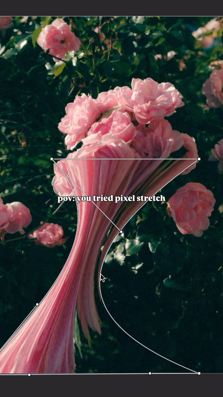 Post 3 by Chihiro | Sydney Photographer on Instagram (video)