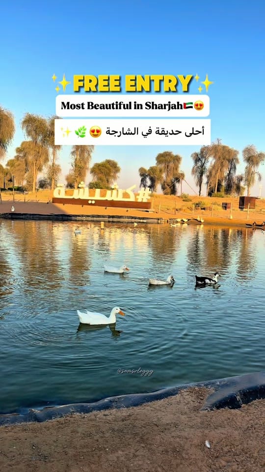 Post 6 by Samina Muhammad | Samsvloggg on TikTok (video)