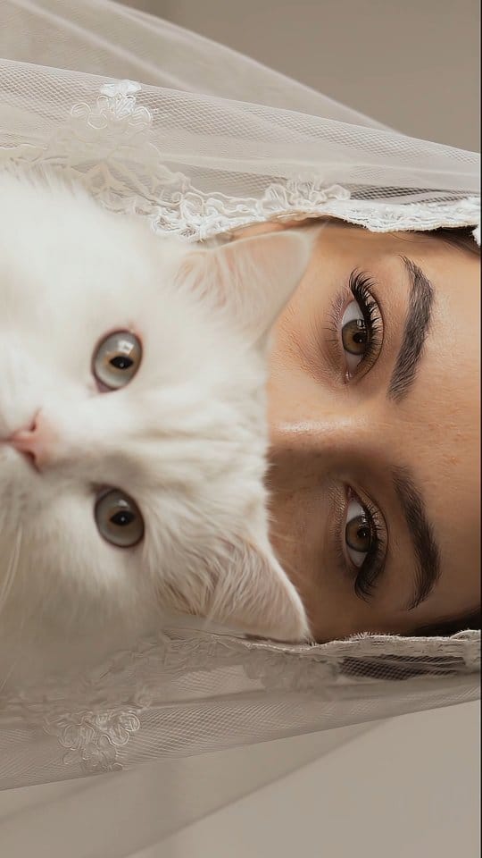 Post 4 by Ali Howaija photography on Instagram (video)