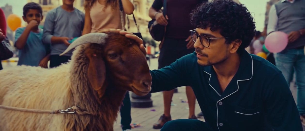 Post 5 by Begad Abd elrheem on TikTok (video)
