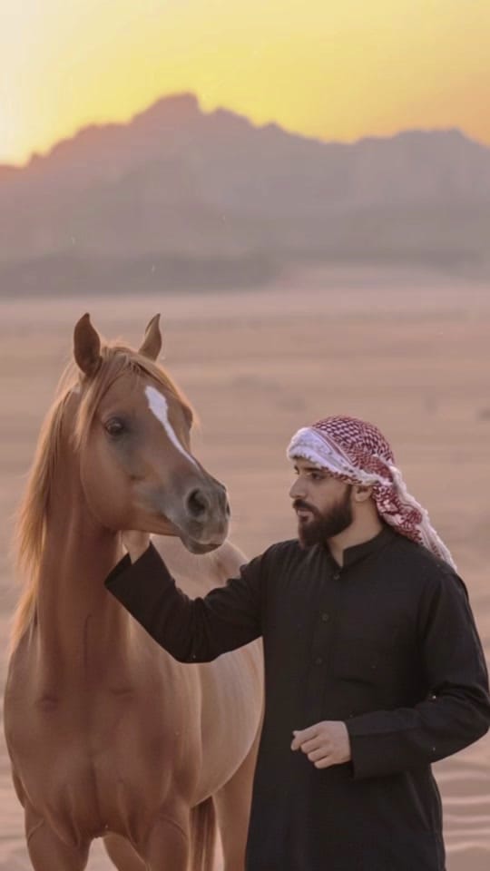 Post 9 by Diya Emad on TikTok (video)