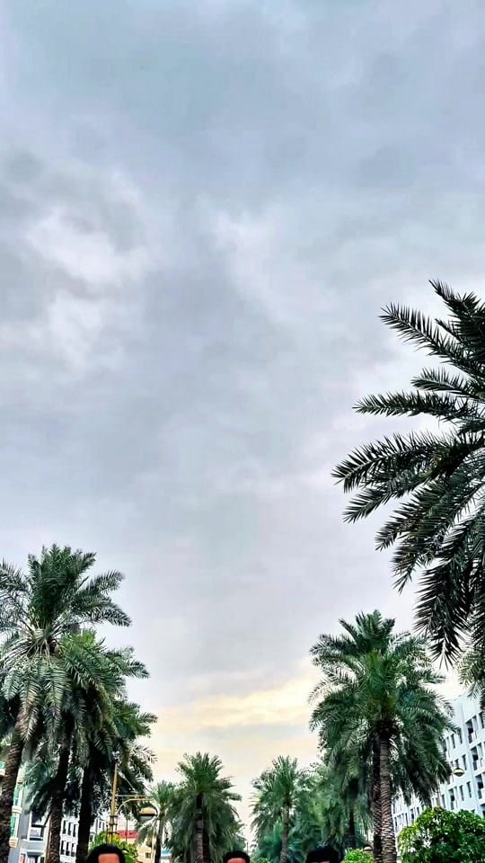 Post 9 by Md Saiful islam | Photographer on TikTok (video)