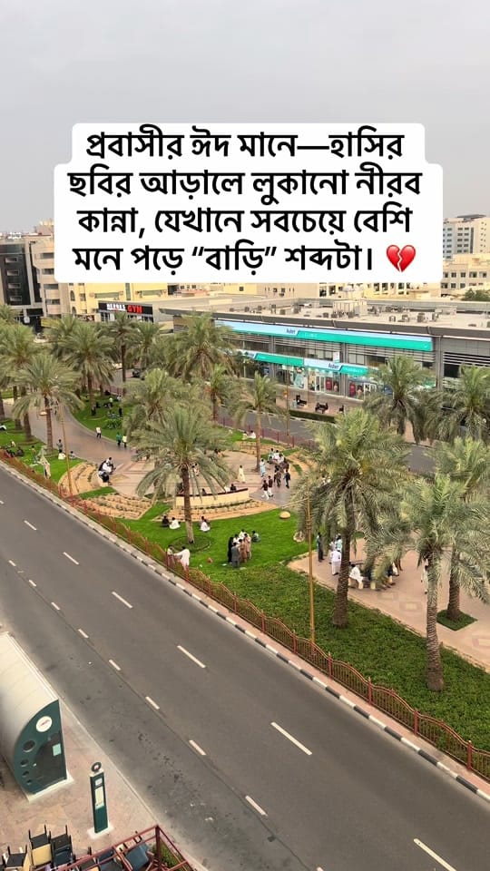 Post 8 by Md Saiful islam | Photographer on TikTok (video)