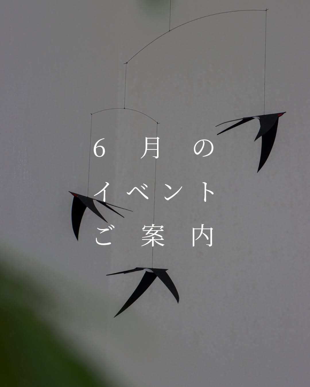 Post 8 by 「100年先も、いい家つくる。」善匠(ぜんしょう) on Instagram (carousel)