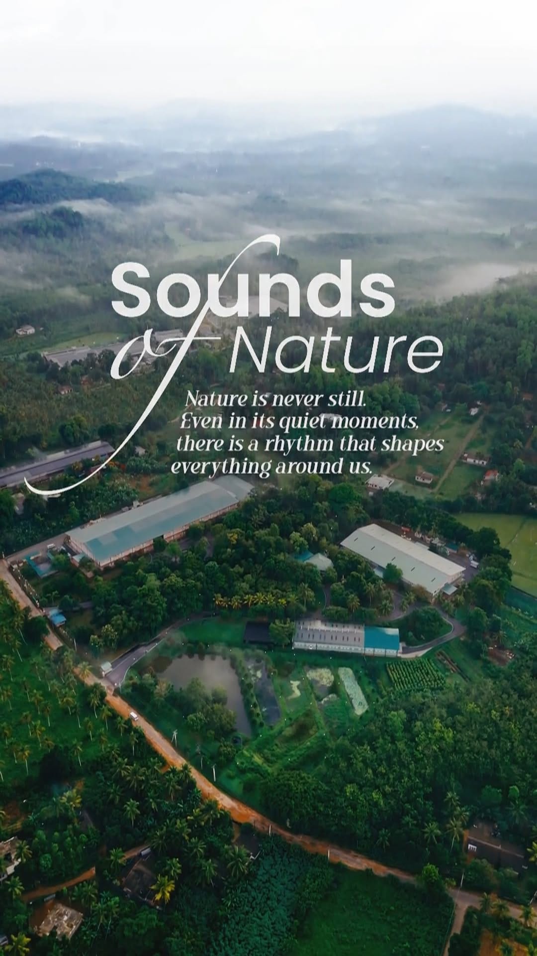 Post 9 by Nature's Secrets Sri Lanka on Instagram (video)