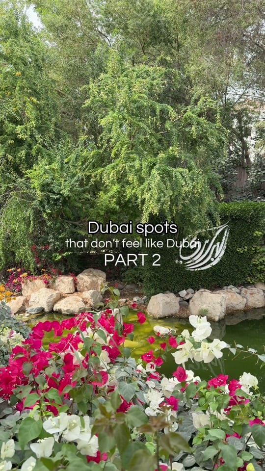 Post 4 by Polina | Dubai creator & UGC on TikTok (video)