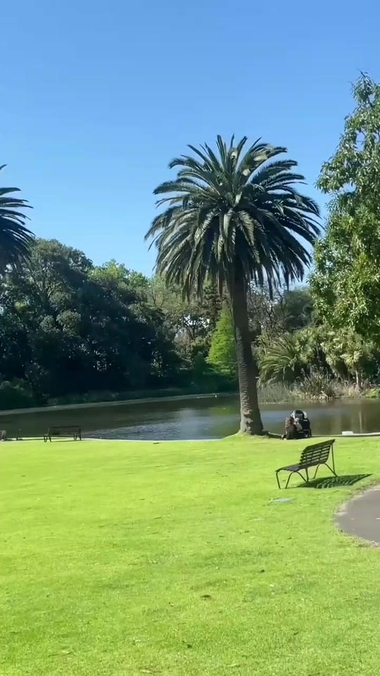 Post 10 by Global Glimpse on TikTok (video)