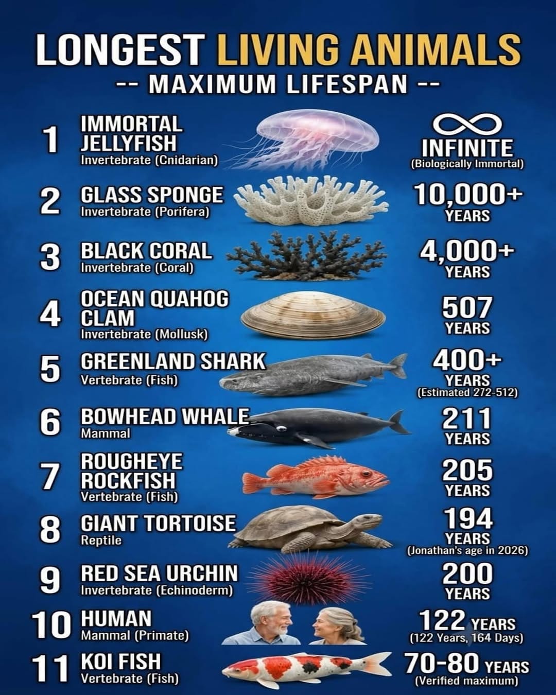 Post 9 by Hambone's Trivia on Instagram (image)