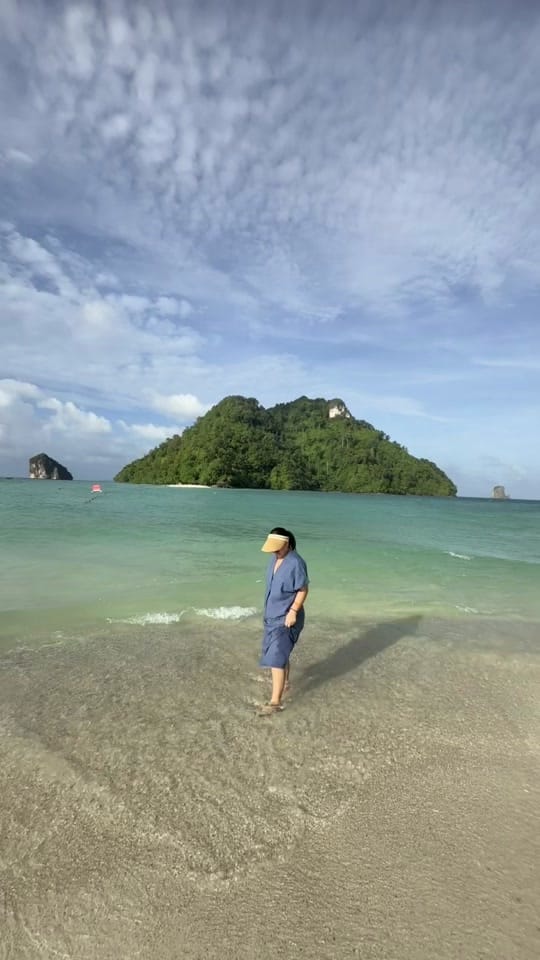Post 5 by Renee Dhyani on TikTok (video)