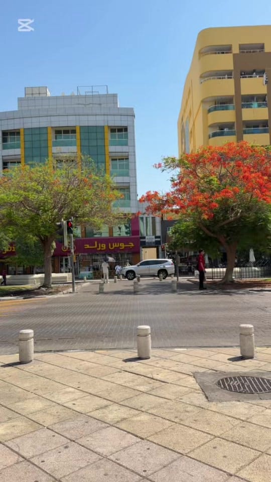 Post 4 by Milles on TikTok (video)