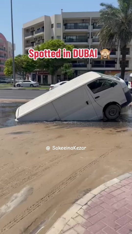 Post 9 by Sakeeina kezar on TikTok (video)