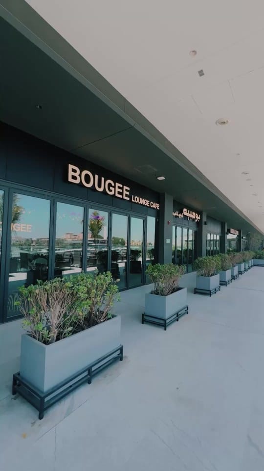 Post 8 by Al Qana Abu Dhabi on TikTok (video)