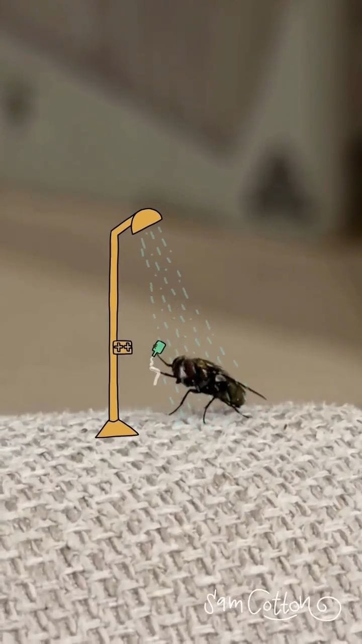 Post 4 by 🎨AWESOME ARTS to be shared! on Instagram (video)