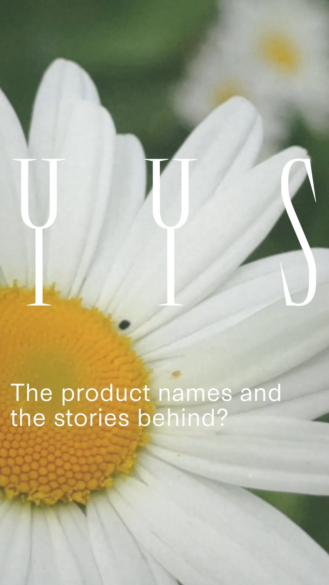 Post 8 by Yin Your Skin® on Instagram (video)