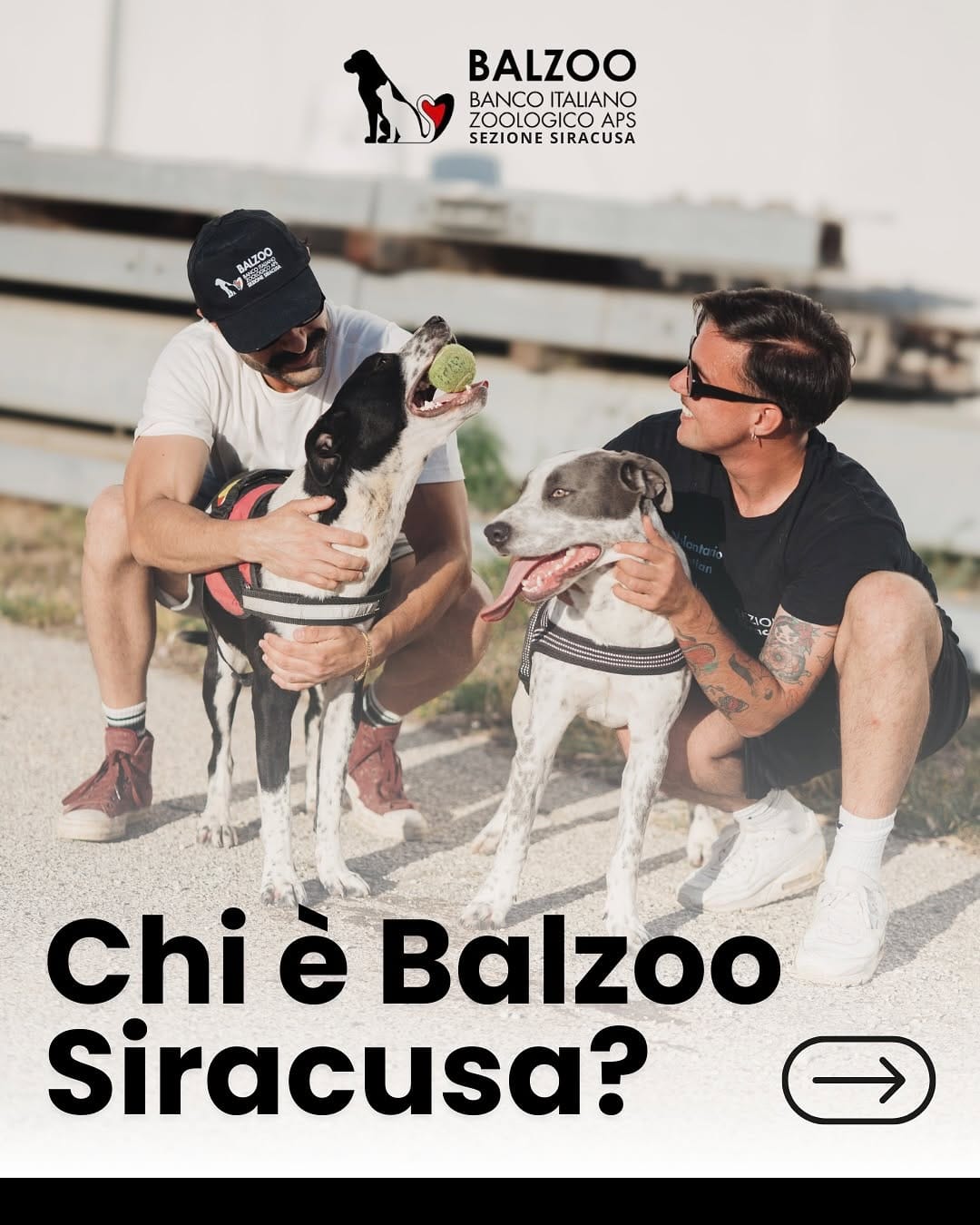 Post 10 by 🐶Balzoo Siracusa on Instagram (carousel)