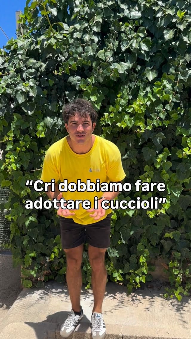 Post 3 by 🐶Balzoo Siracusa on Instagram (video)