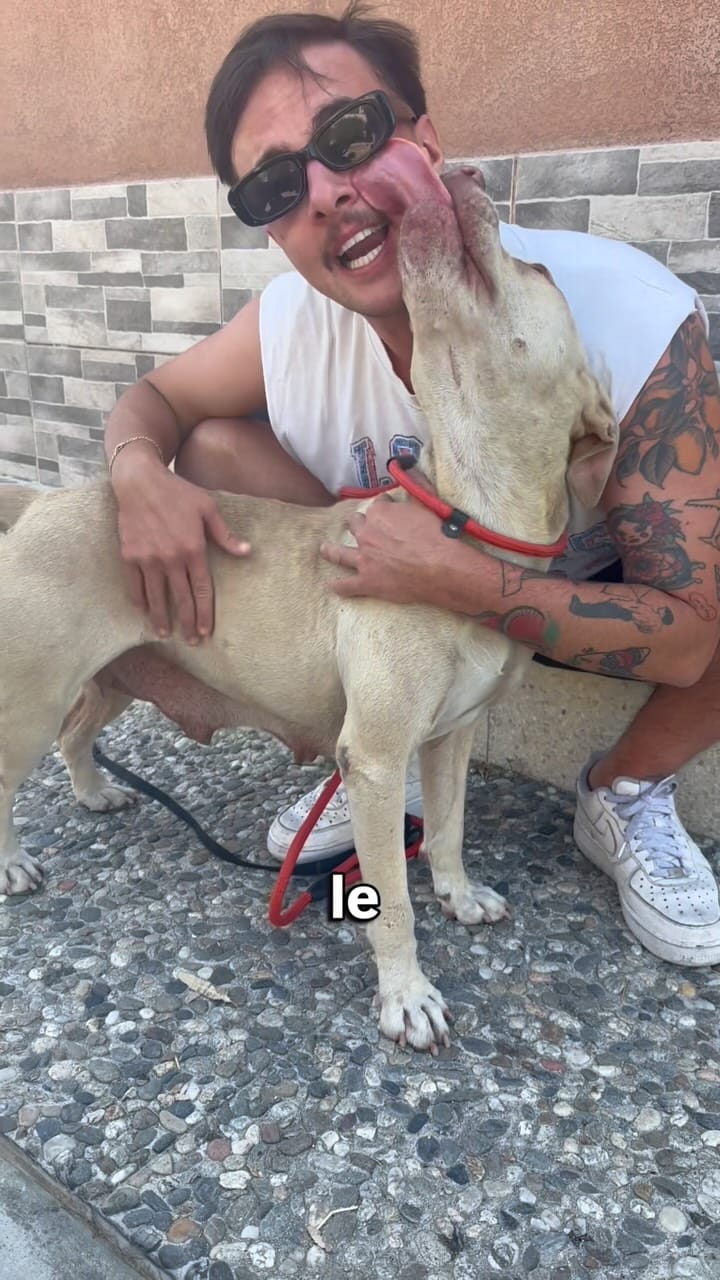 Post 2 by 🐶Balzoo Siracusa on Instagram (video)