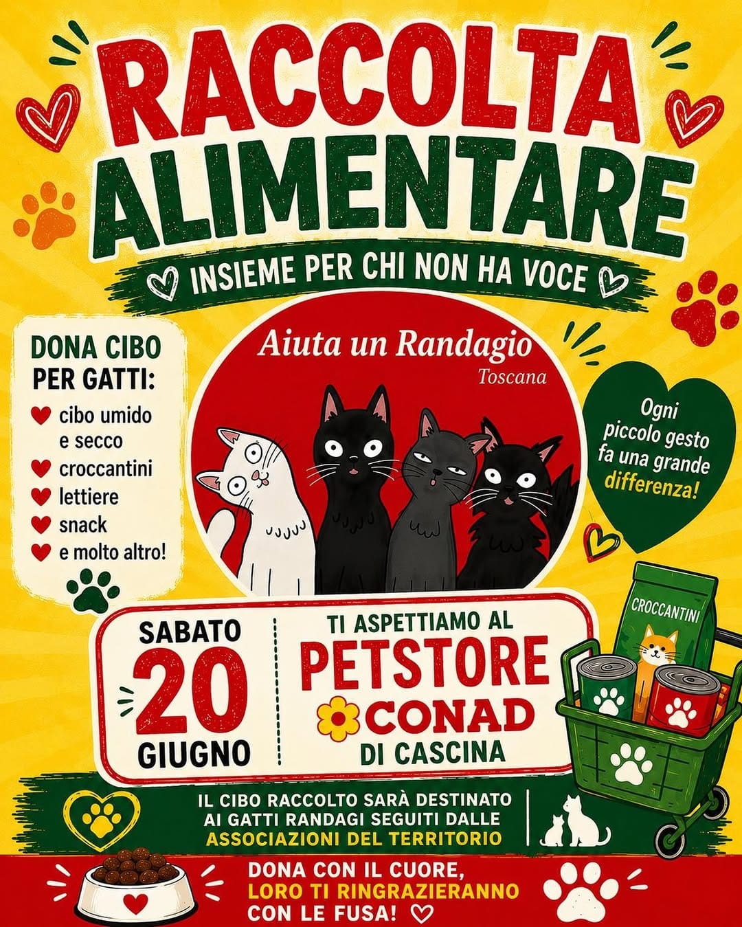 Post 4 by Aiuta un Randagio Toscana on Instagram (image)
