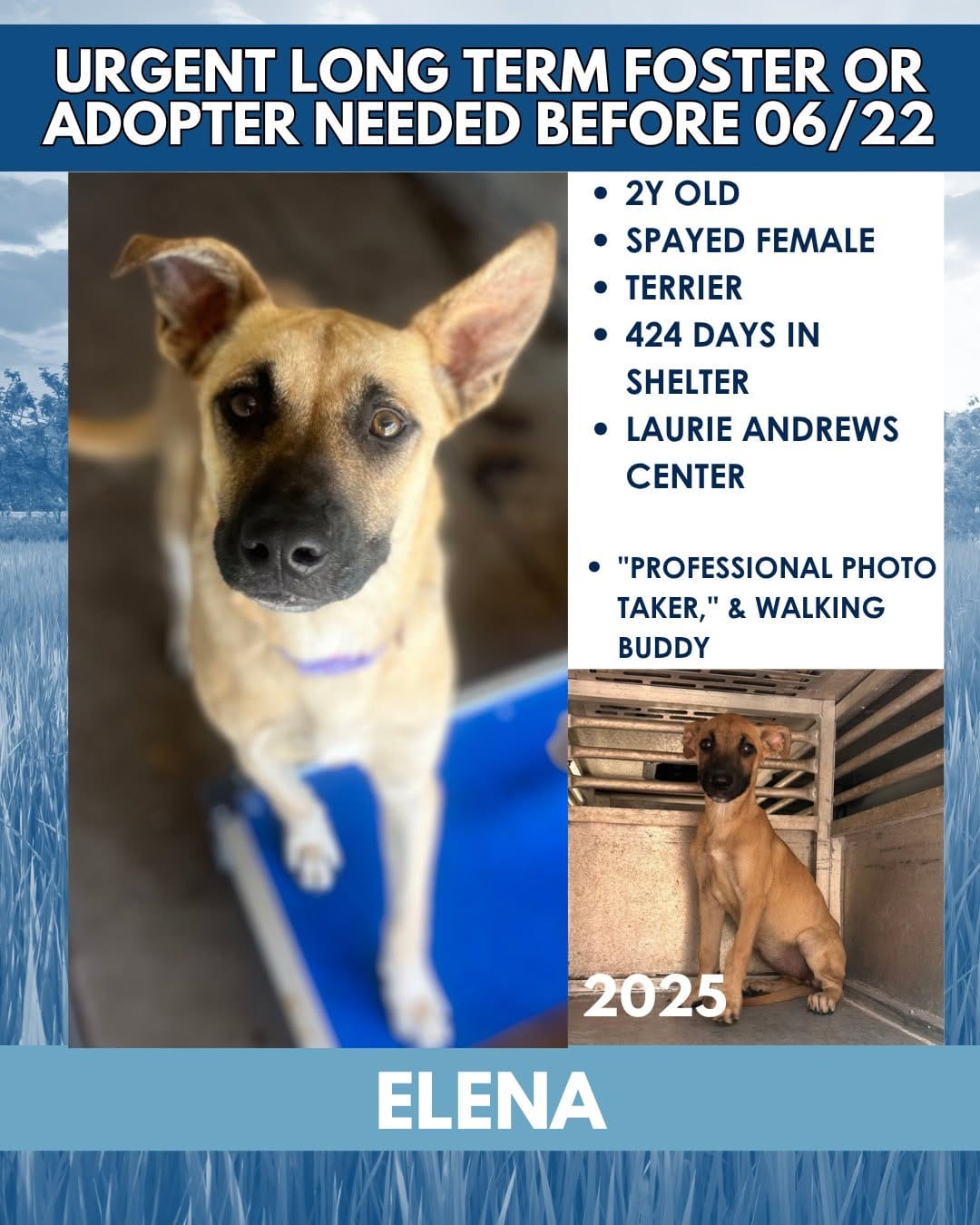 Post 9 by Palm Valley Animal Society on Instagram (carousel)