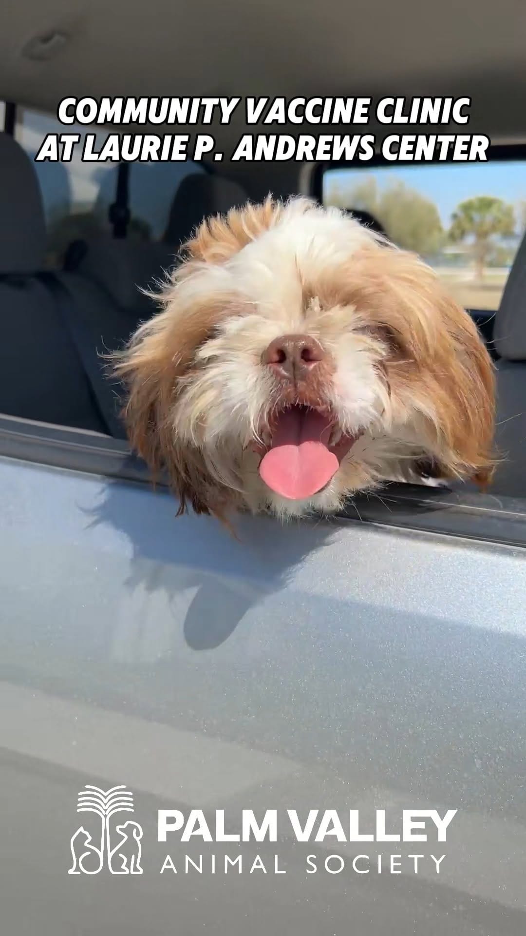 Post 3 by Palm Valley Animal Society on Instagram (video)