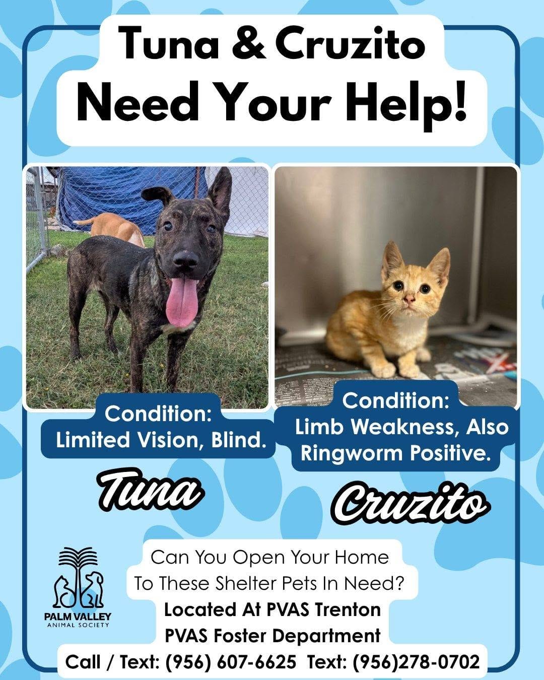 Post 10 by Palm Valley Animal Society on Instagram (carousel)