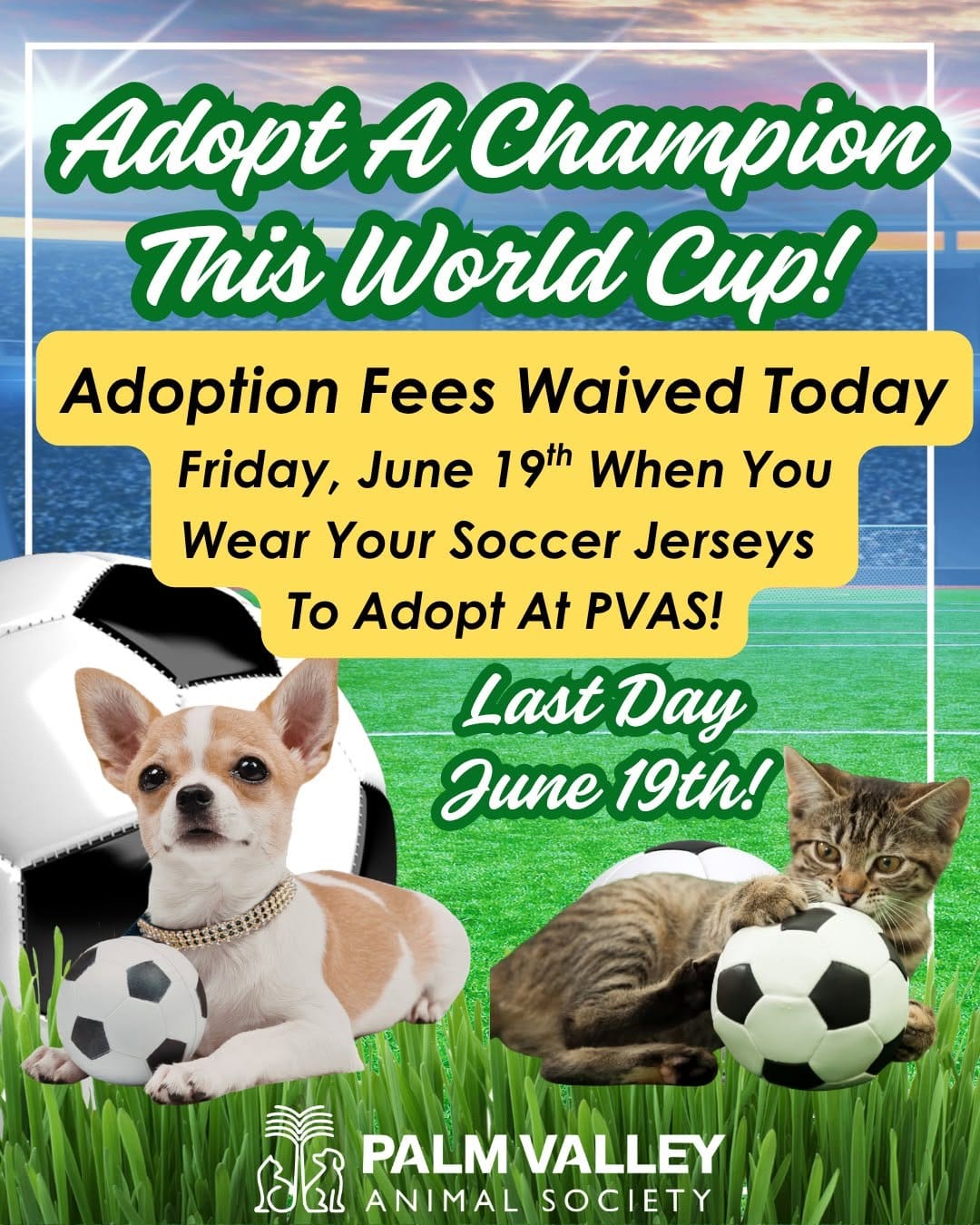 Post 6 by Palm Valley Animal Society on Instagram (carousel)