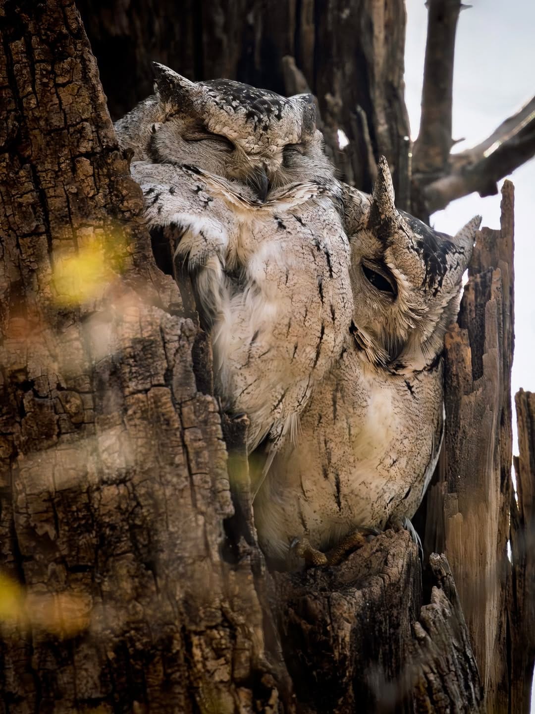Post 9 by Brent Williams on Instagram (image)