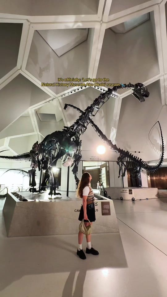 Post 1 by Natalie Chaban on TikTok (video)