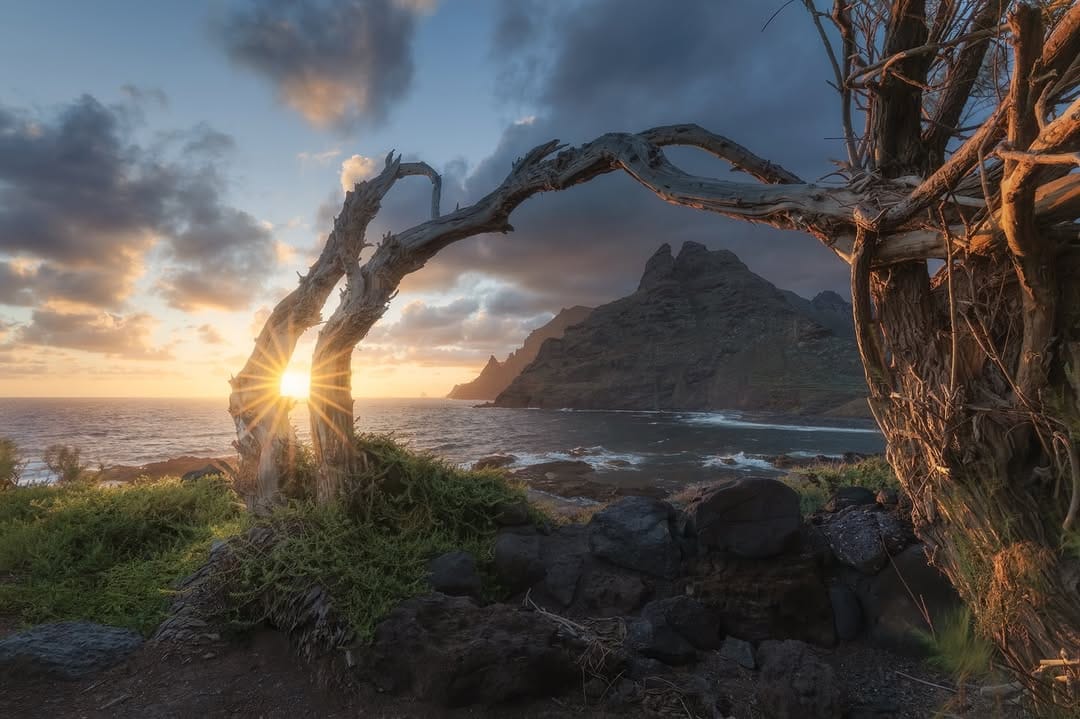 Post 3 by Samuele Bertoli on Instagram (image)