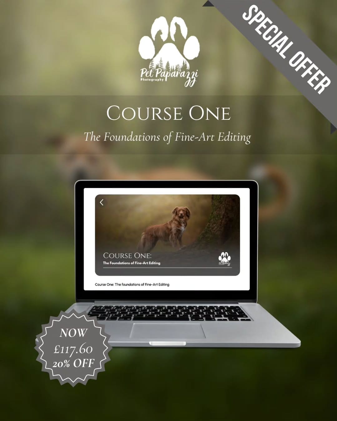 Post 9 by Pet Paparazzi™ | Pet Photography & Education | Lena Lewis on Instagram (carousel)