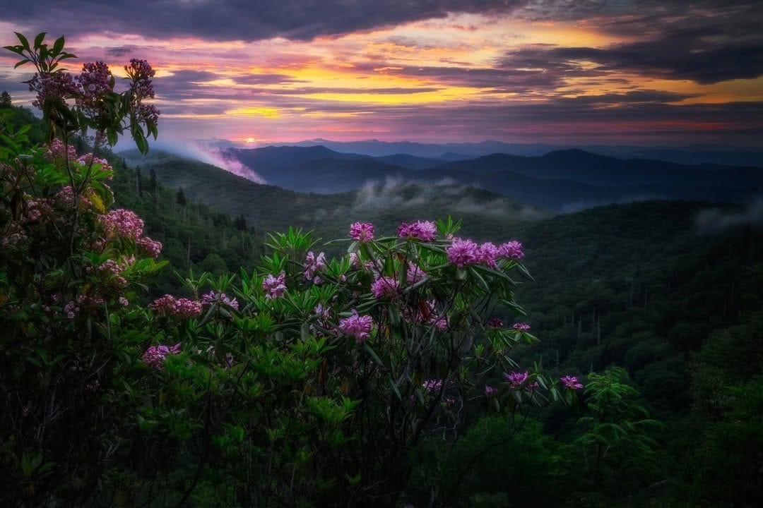 Post 8 by Jeffrey Ji ᨒ↟ on Instagram (image)
