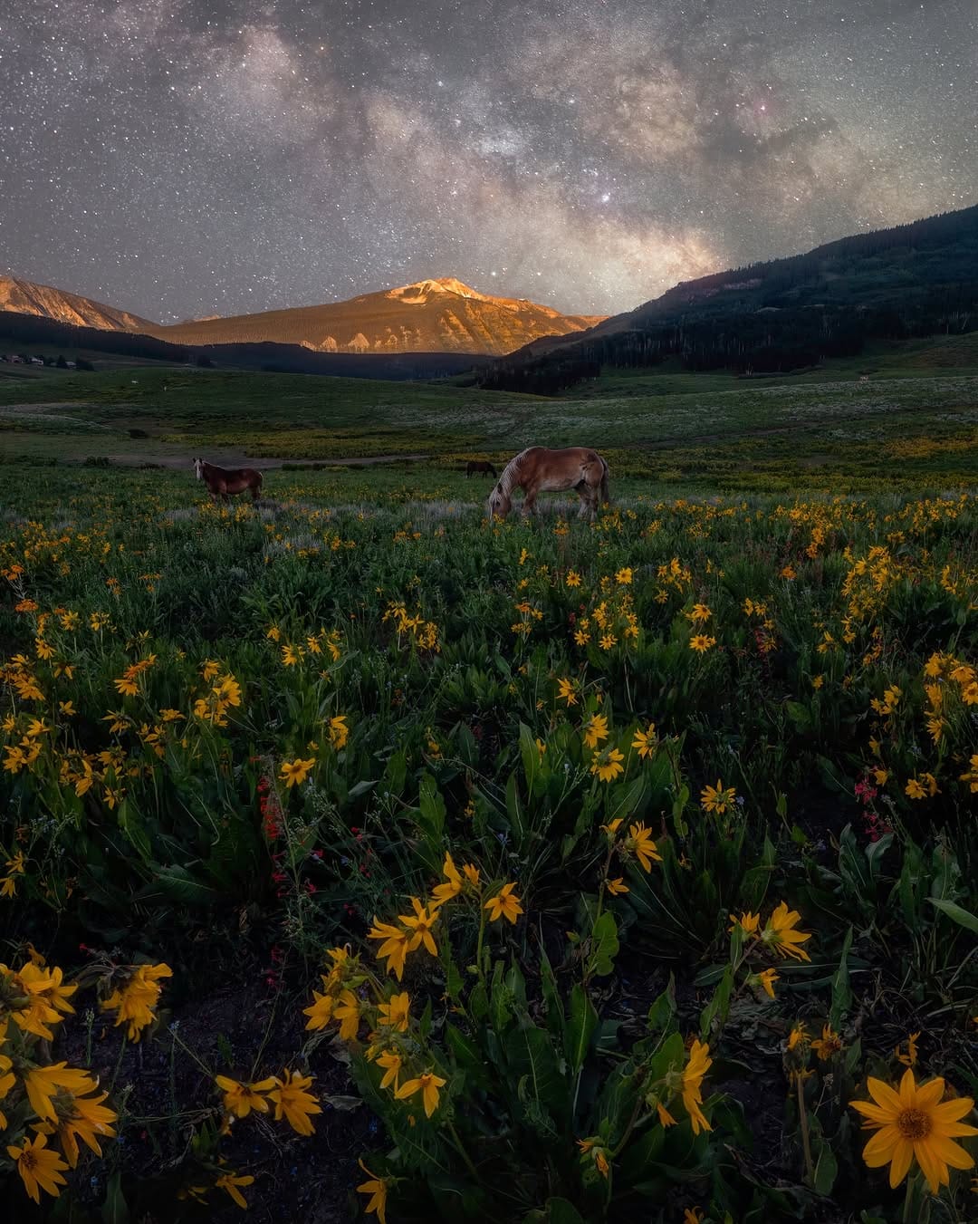 Post 3 by Jeffrey Ji ᨒ↟ on Instagram (carousel)