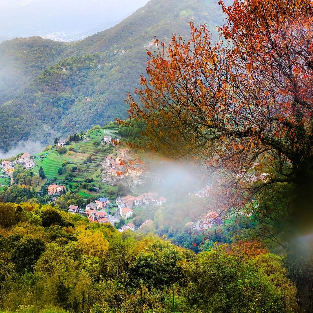 Post 5 by Leonardo Bellotti on Instagram (image)