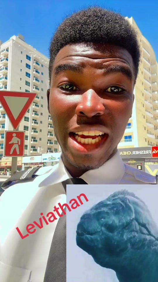 Post 10 by New~King 💫👑 on TikTok (video)